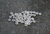 Ljust silverfärgade mellandelar - daisy, 4 mm